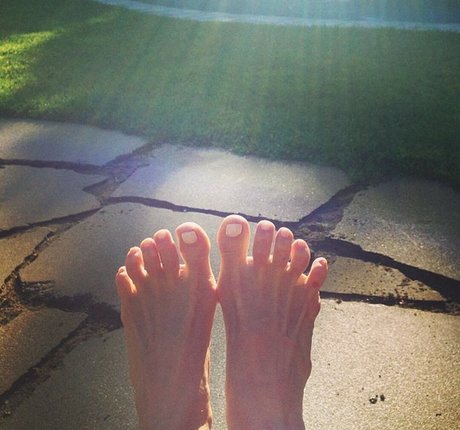 Mariel Hemingway star img