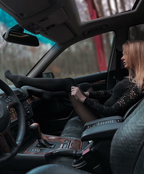 Alviik high quality model galleries