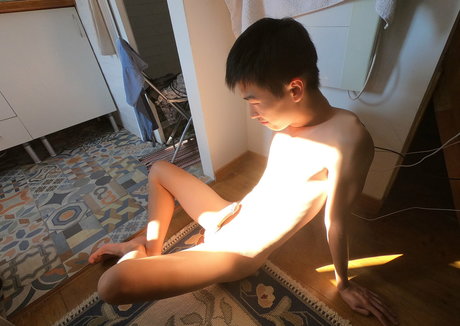 stallion bunny model pornographic img