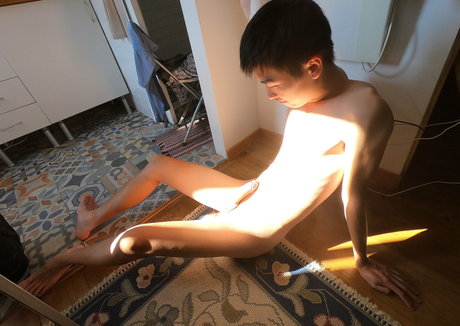 stallion bunny xxx pornstar photo