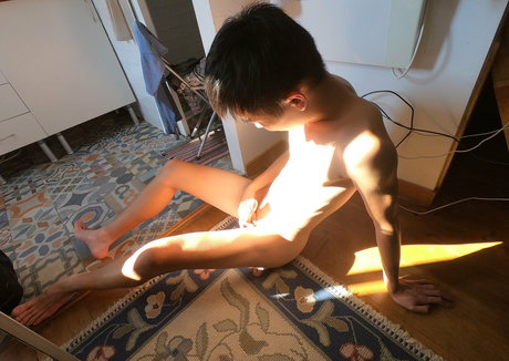 stallion bunny exclusive pornstar images