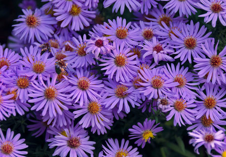 u37365736 model xxx img