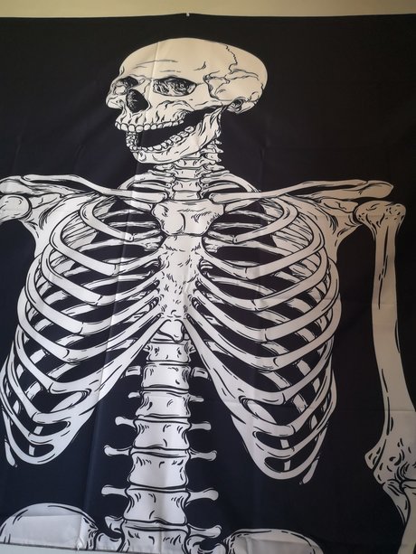 Sassysammi1880 hot pornstar image