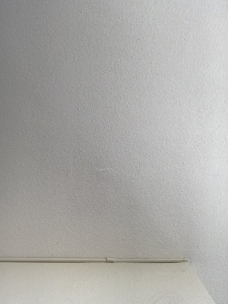 Sassy Kat pornstar erotic galleries