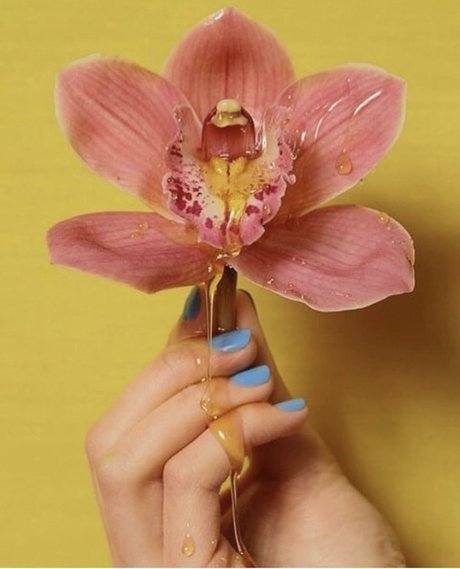 SashaSade free actress photo