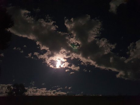 Sara Shelby erotic actress photo