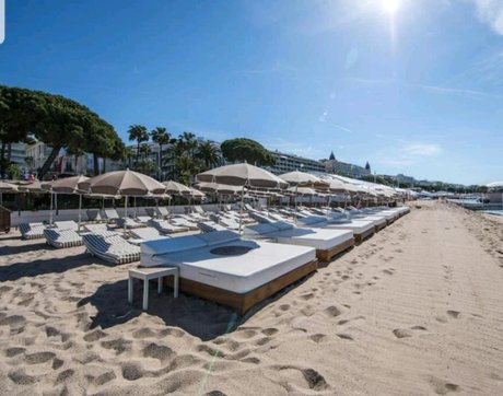 Sarah Bell_ erotic pornstar pictures