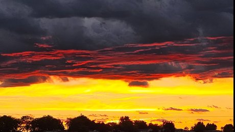 Sapphire Fairy model art gallery