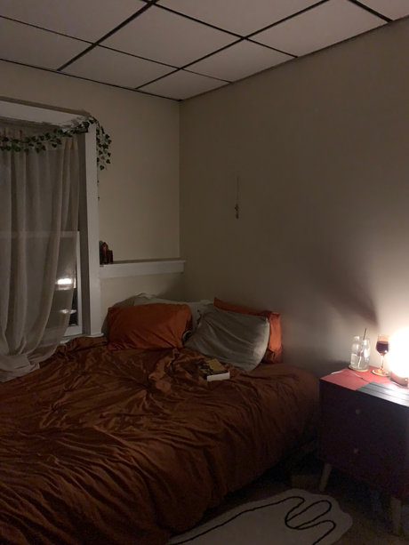 elizabeth hope nice star image