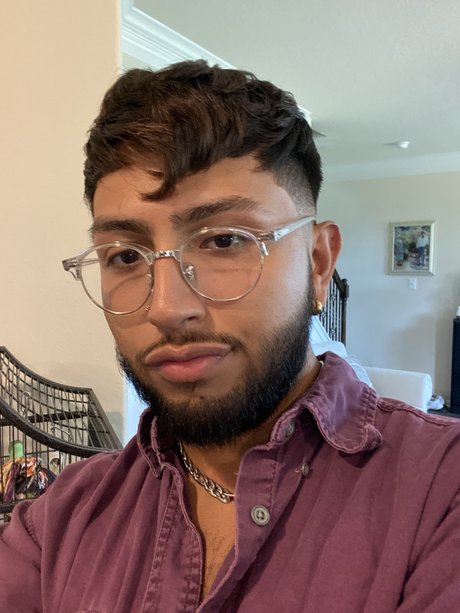 dre best pornstar gallery