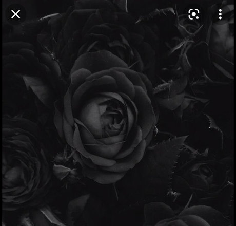 Santeria perfect pornstar pics