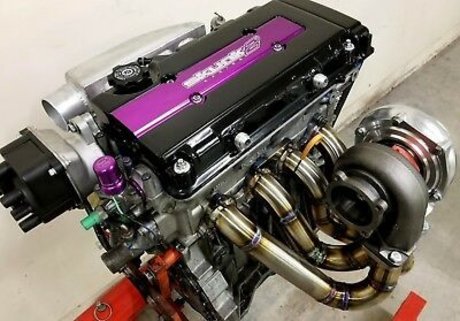 Man Dingo Warrior pornstar art photos