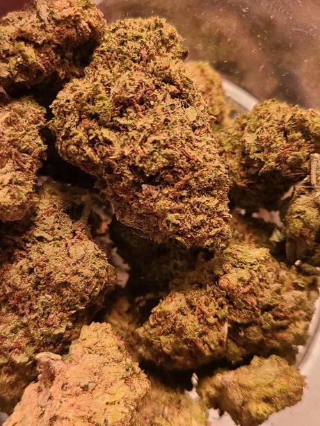 Big Drew model top pictures