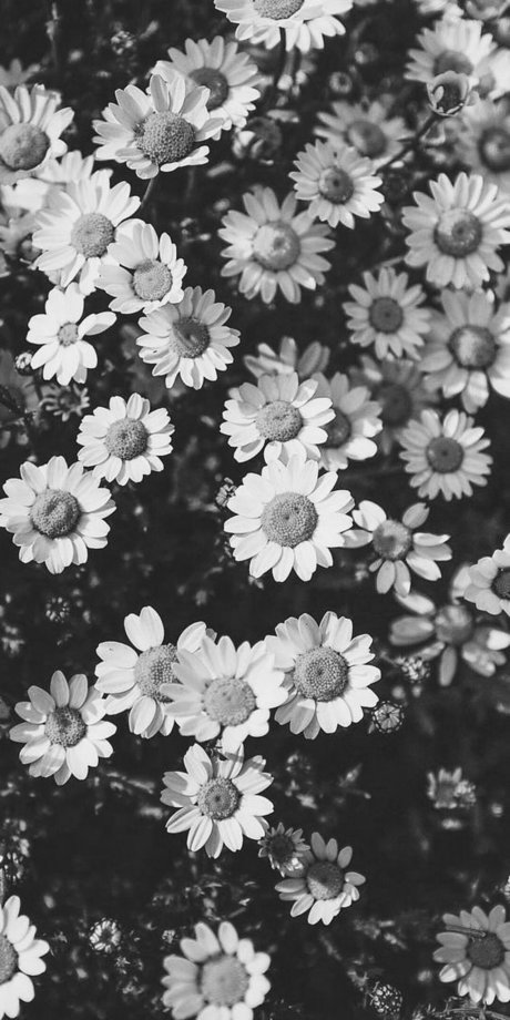 Sam Noskow hot model pictures