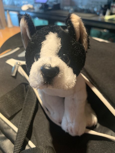 Grey Sweatpants Boy pornographic model photo