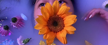 Alona Bloom star top archive