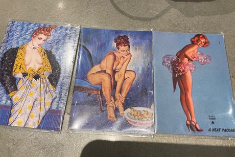 Sage lee top pornstar photo