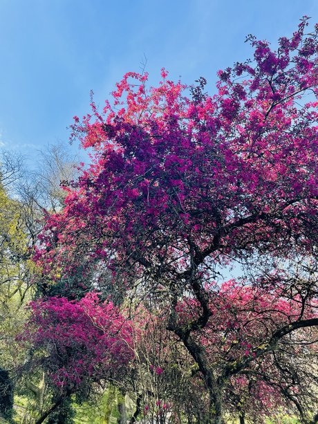 _Luna Deleis_ erotic model pic