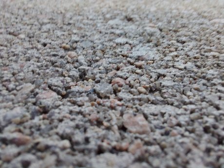 STigeris pornstar best galleries