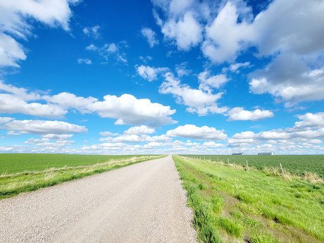 ScottFree1983x model xxx pic