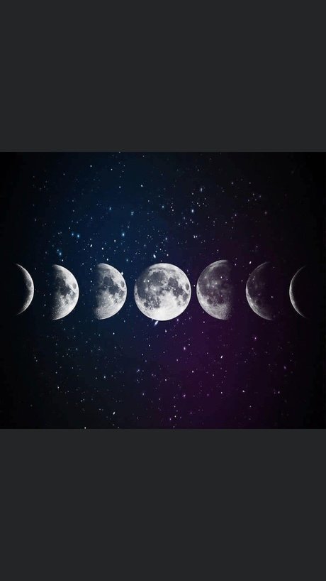 xrage adult actress img