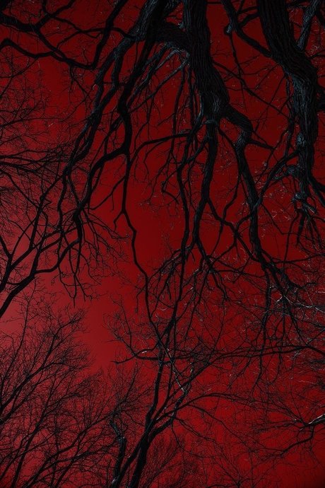 Shay len Skies sex actress image