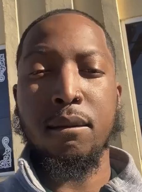 Persian Prince star adult image