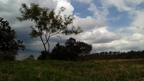 _lr n star high quality pictures