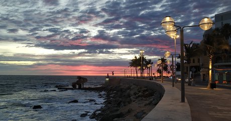 Darthmilo star free photos