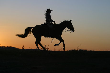 Nicolas Nardini beautiful pornstar galleries