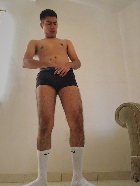 P lux pornographic model photo