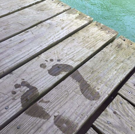 Miss Piggy s_ star xxx picture