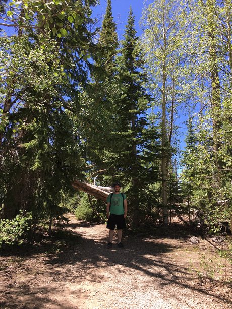 Jason Gamble nudes star pics