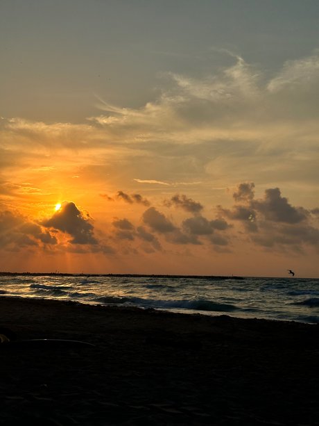 Sexy girl packs_ pornstar top photos