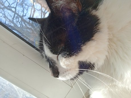 Theo Elina star erotic pictures