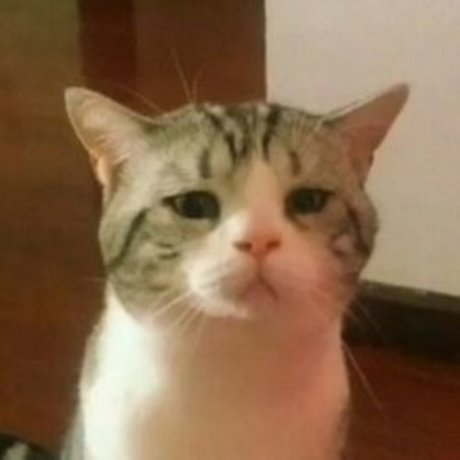 Yatara exclusive model photos