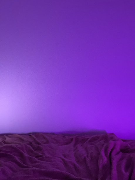 TheLittlePrince pornstar exclusive image