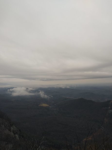 Cleaves Leder perfect model archive