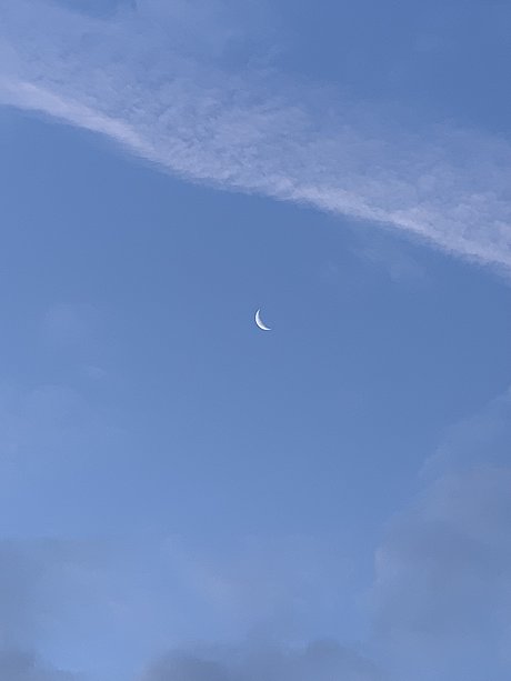 Althea_ exclusive actress picture