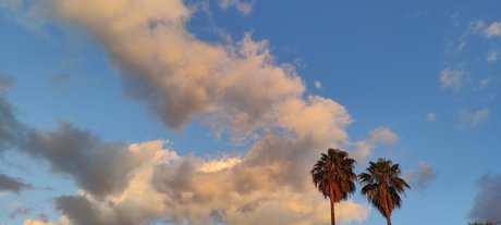 Teddy Velazquez porn star pic