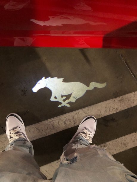 _aucy Jay star sexy archive