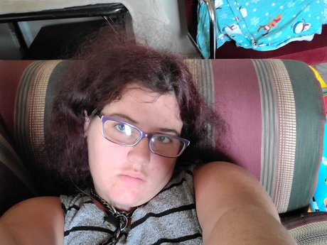 Gemini Fire model art galleries