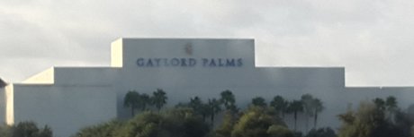 Daniel Satire nice actress pics