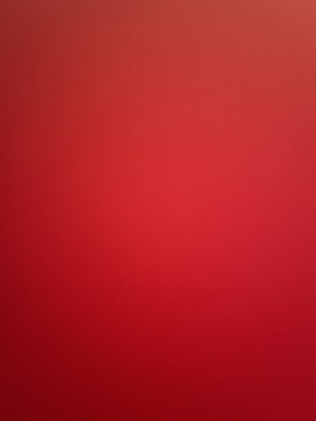 AussieNiNJA x nice model images