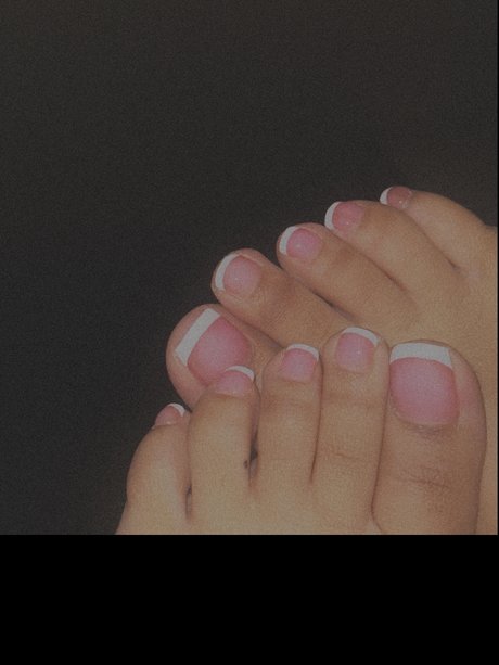 laylay star top archive