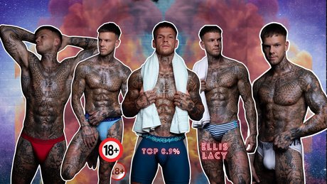 Elecy model perfect images