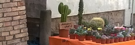 Yuri Crispi porn star image