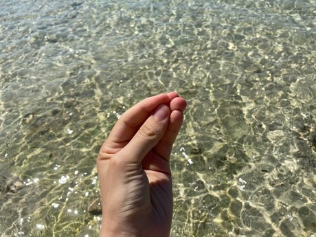 Max It porn actress archive