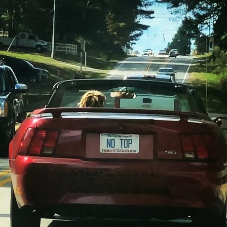 YZ TTG ENT beautiful model images