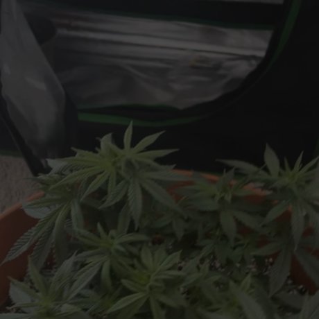 _rgr r_ naked model galleries